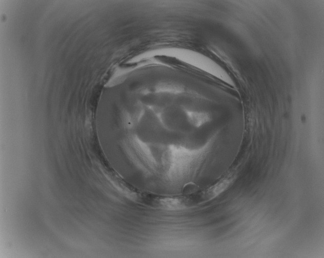 X0000075860265200610061944