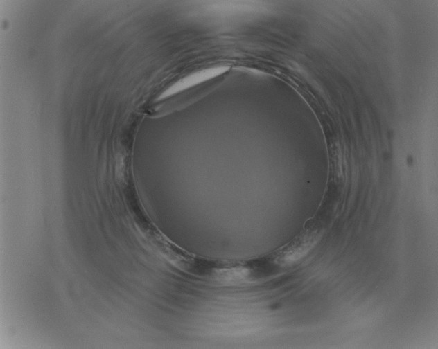 X0000075860266200610061944