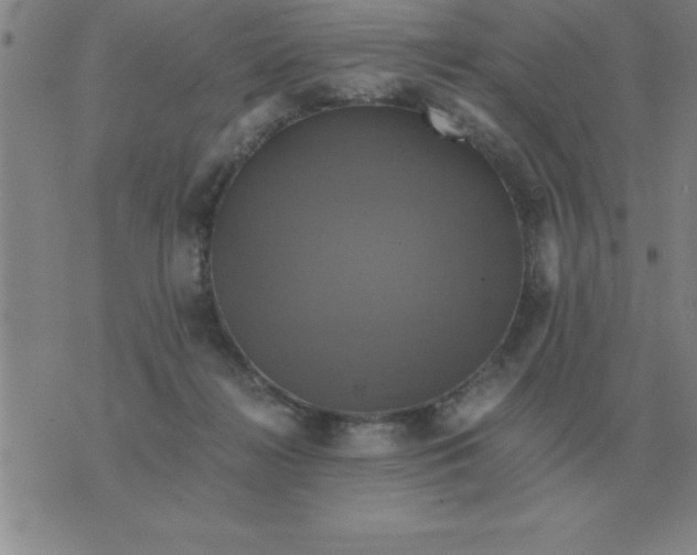 X0000075860268200610061944