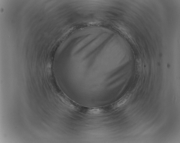 X0000075860269200610061944