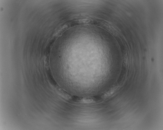 X0000075860270200610061944