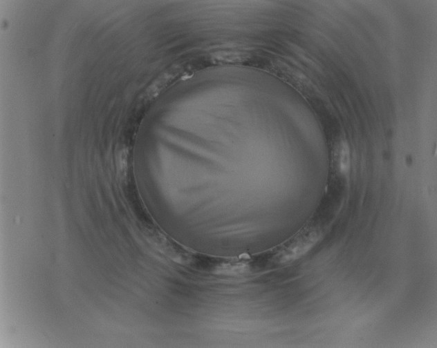 X0000075860271200610061944