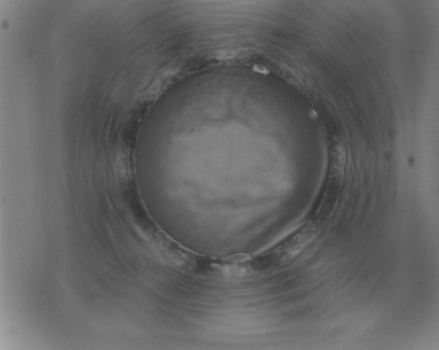 X0000075860272200610061944