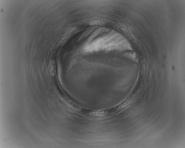 X0000075860273200610061944