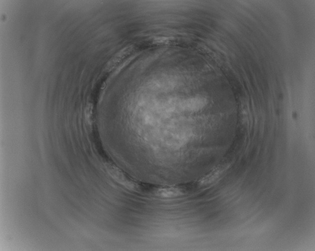 X0000075860275200610061945