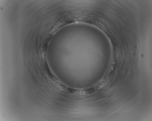 X0000075860276200610061945