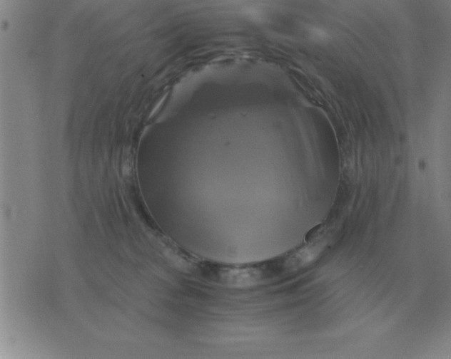 X0000075860277200610061945