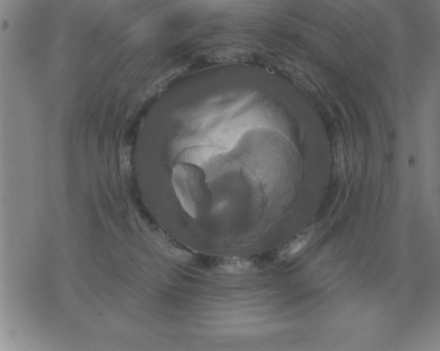 X0000075860278200610061945