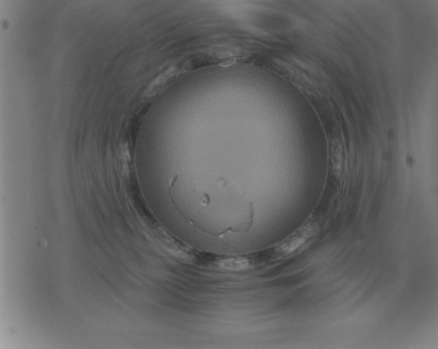 X0000075860279200610061945