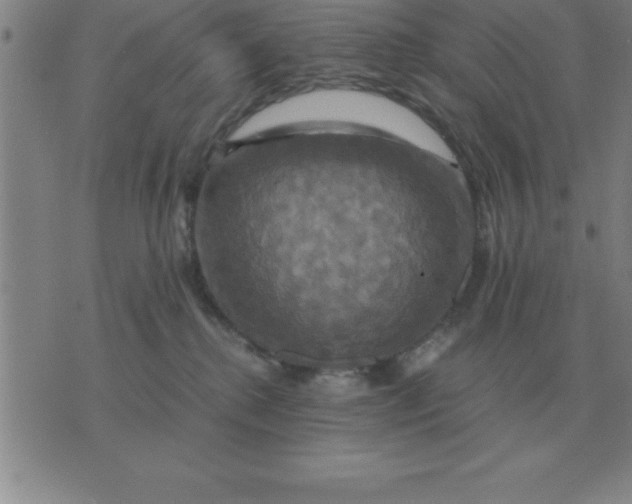 X0000075860280200610061945