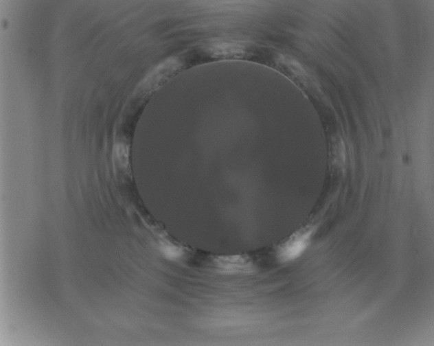 X0000075860281200610061945