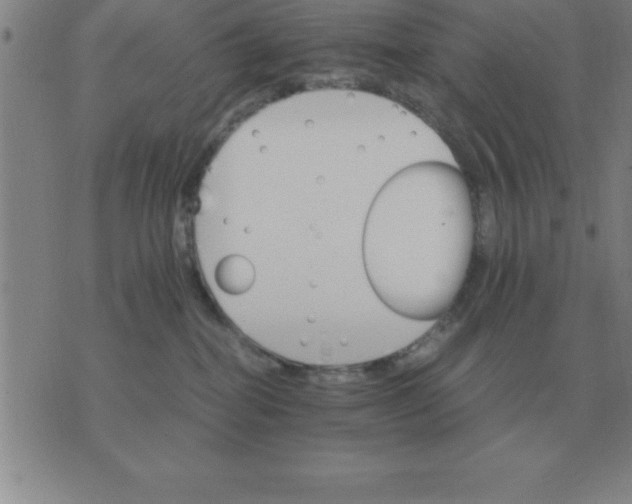 X0000075860282200610061945