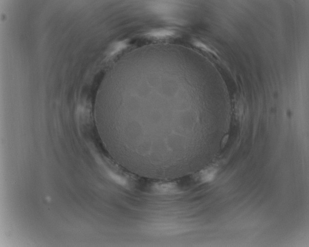 X0000075860283200610061945