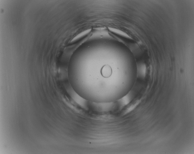 X0000075860284200610061945