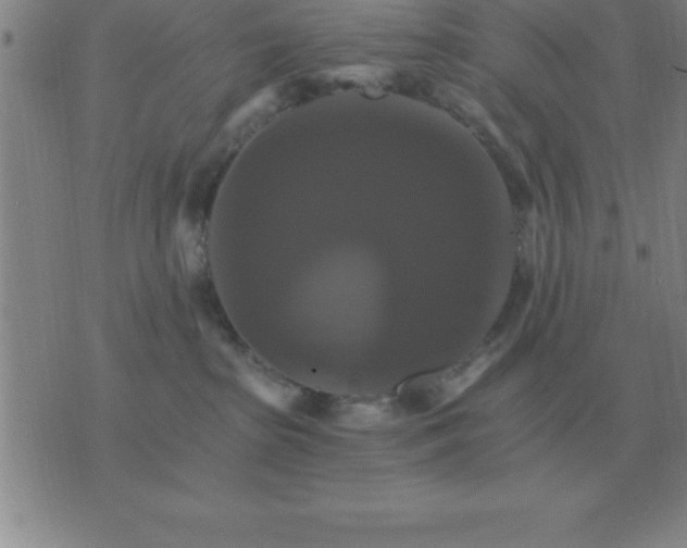 X0000075860285200610061945