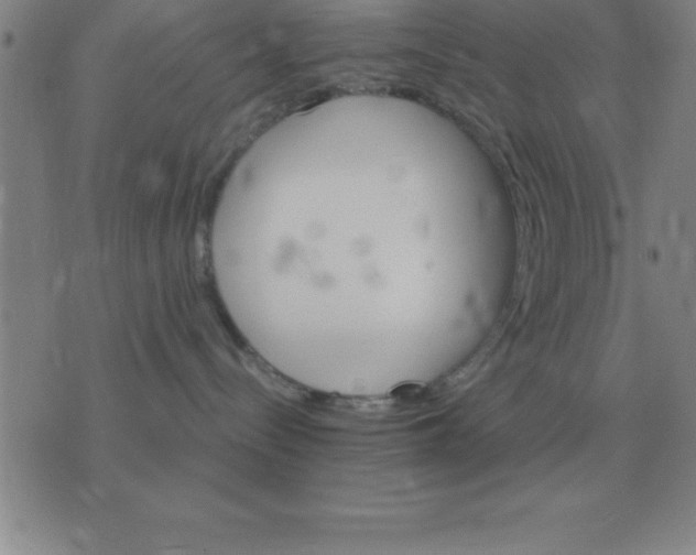 X0000075860288200610061945