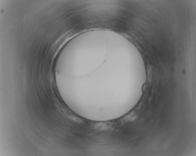 X0000075860290200610061944