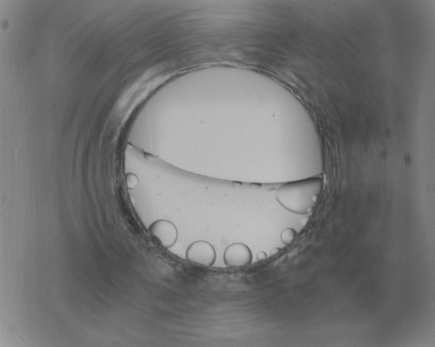 X0000075860291200610061944