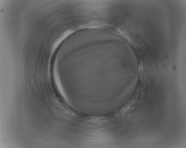 X0000075860292200610061944