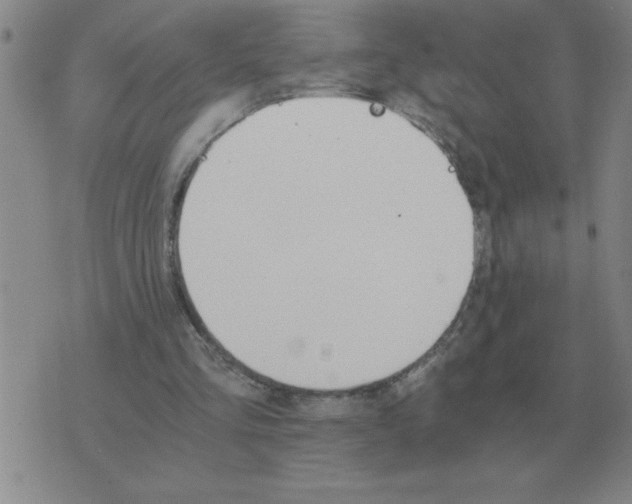 X0000075860293200610061944