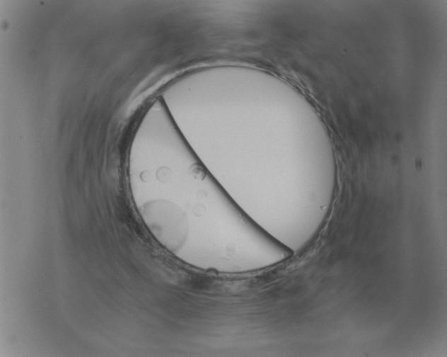 X0000075860295200610061944