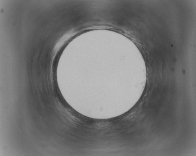 X0000075860296200610061944