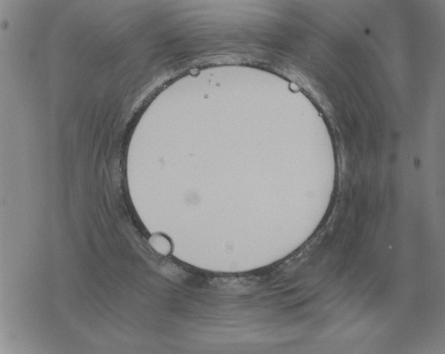 X0000075860297200610061944