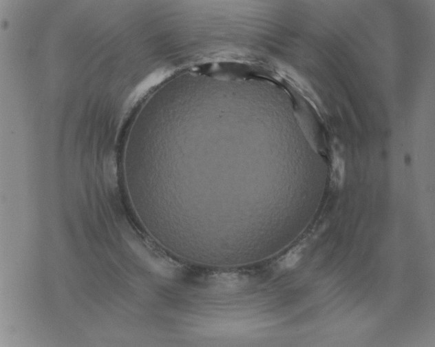 X0000075860298200610061944