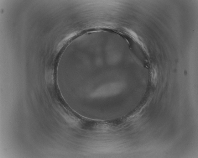 X0000075860299200610061944