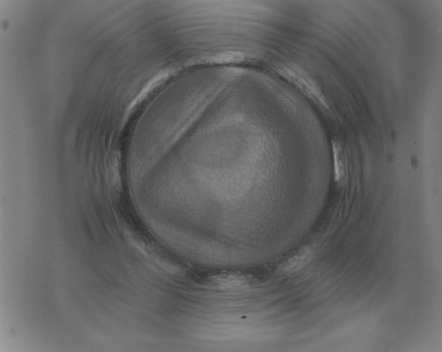 X0000075860300200610061944