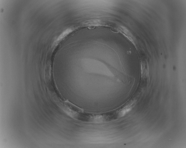 X0000075860301200610061944