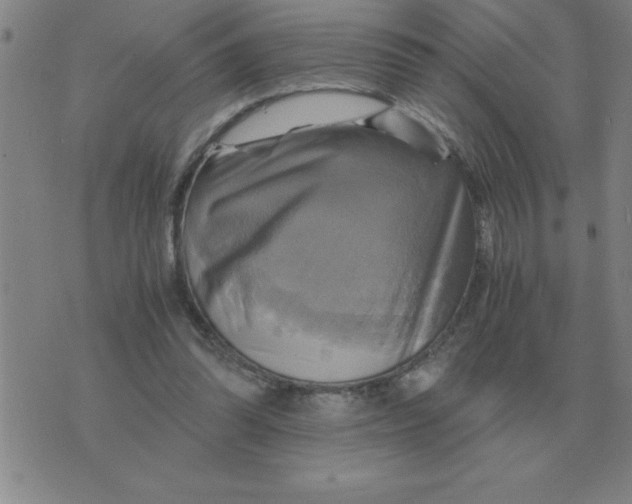 X0000075860302200610061944