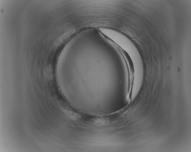 X0000075860303200610061944