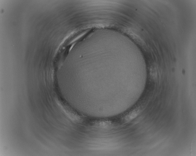 X0000075860304200610061944