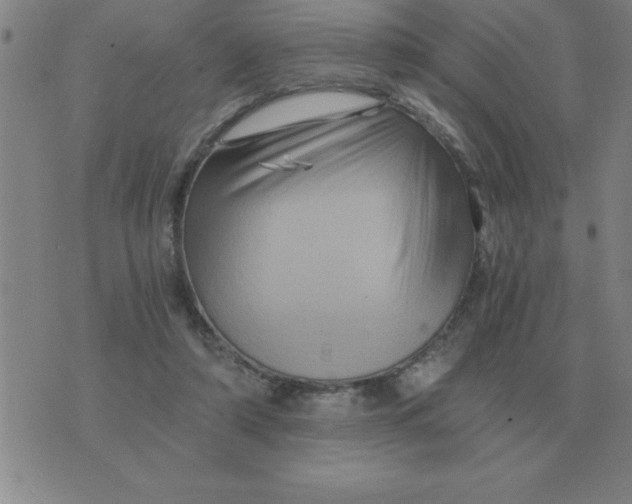 X0000075860306200610061944