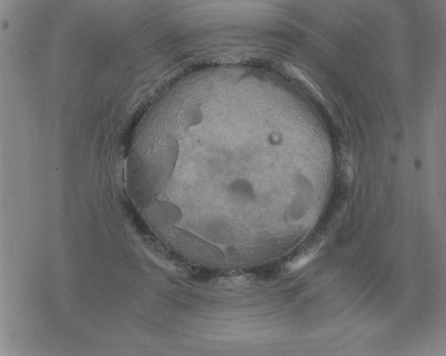 X0000075860307200610061944