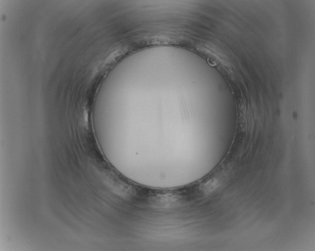 X0000075860310200610061944