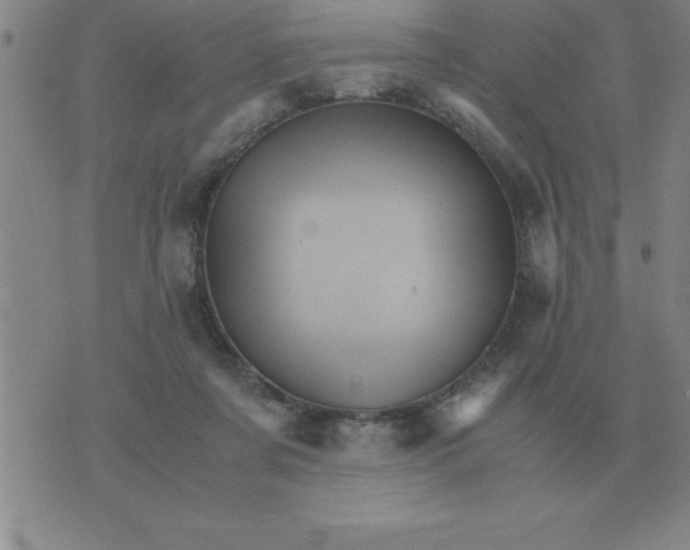 X0000075860311200610061944