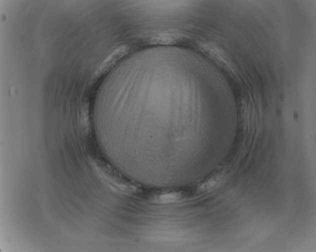 X0000075860312200610061944