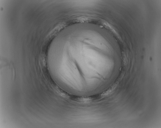 X0000075860313200610061944