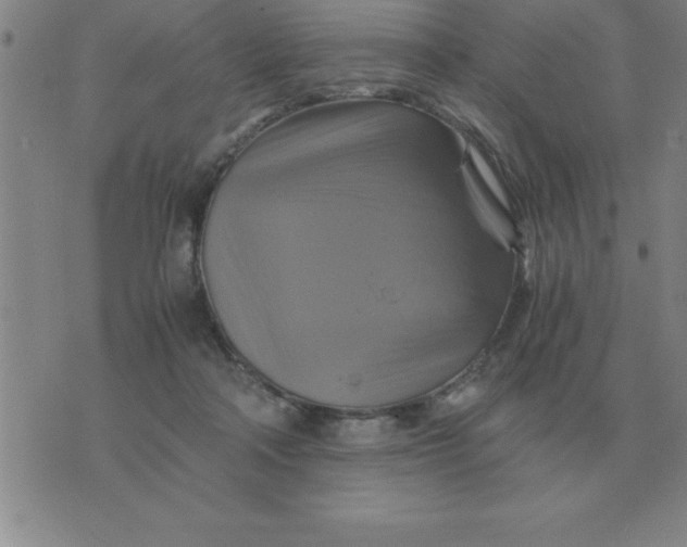 X0000075860314200610061944