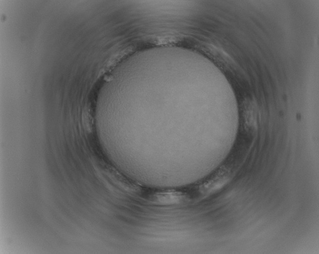 X0000075860316200610061944