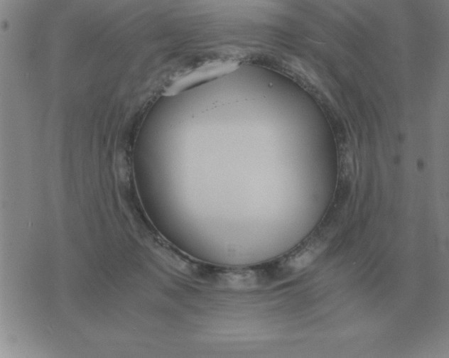 X0000075860317200610061943