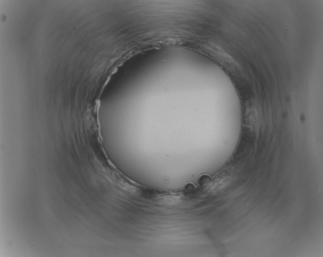 X0000075860318200610061943