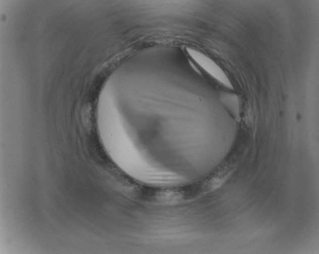 X0000075860319200610061943