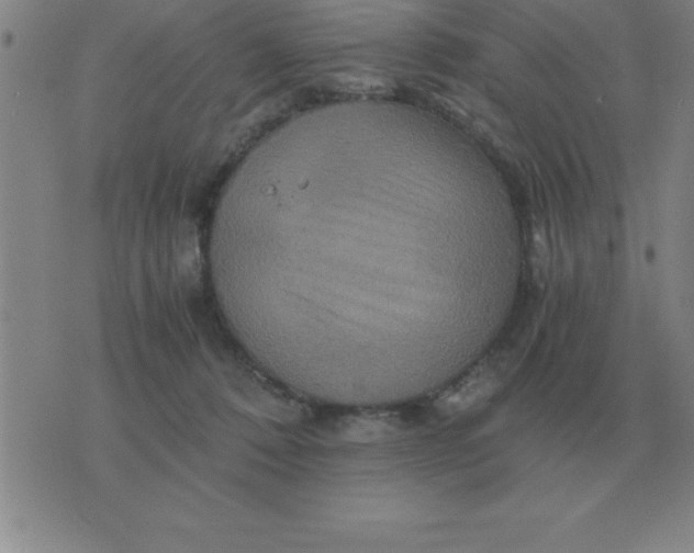 X0000075860320200610061943