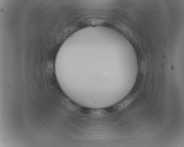 X0000075860321200610061943