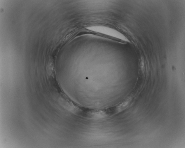 X0000075860322200610061943