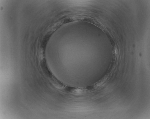 X0000075860323200610061943