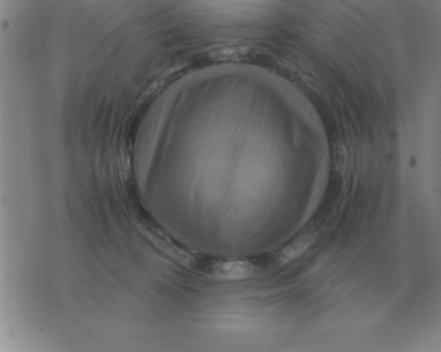 X0000075860324200610061943